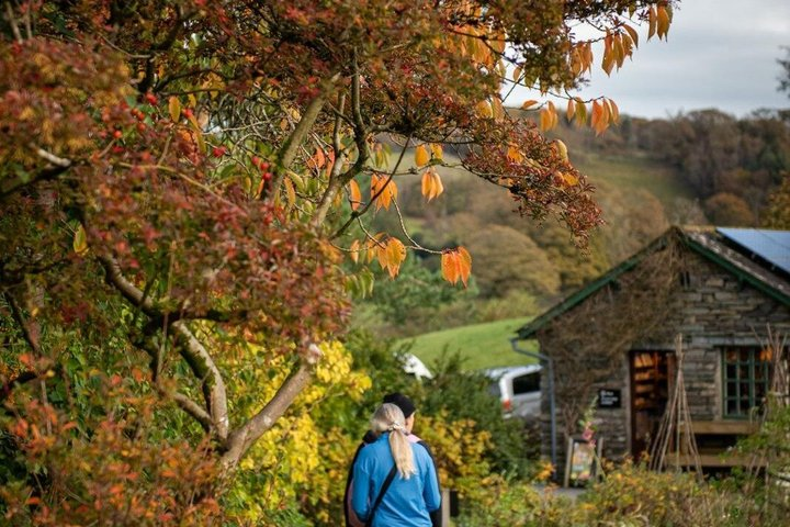 Beatrix Potter's Half Day Lake District Tour Including Lake Cruise - Photo 1 of 16